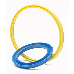 Radial Seals for Motors Radial Seals for Motors
