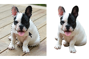 Image Editing Resources