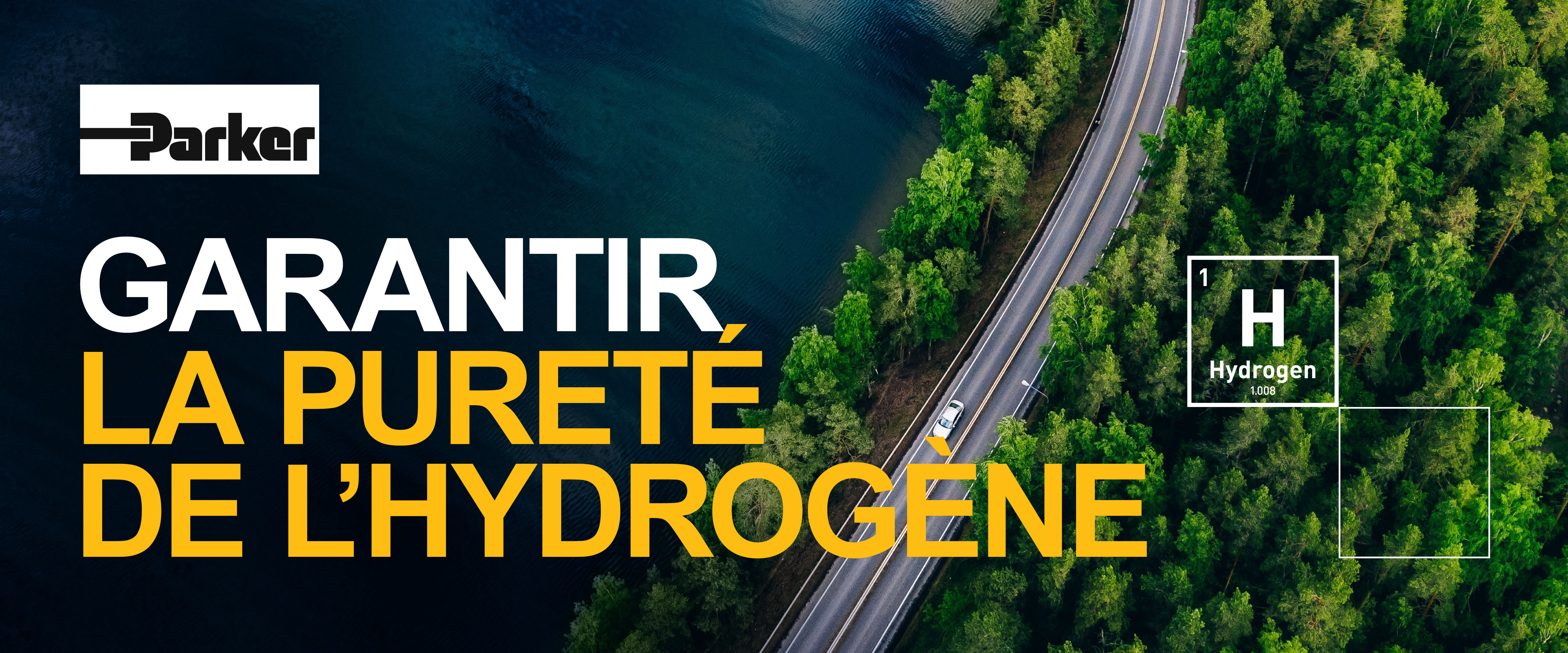 Wébinaire purification