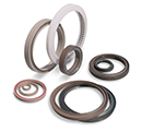 Spring-Activated Polymer Seals: FlexiSeals®